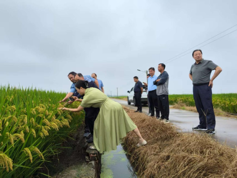 丹阳市关工委深入青年农民创业示范基地开展调研指导